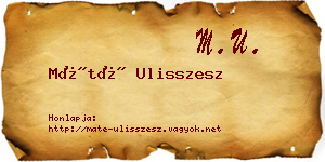 Máté Ulisszesz névjegykártya