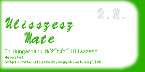 ulisszesz mate business card